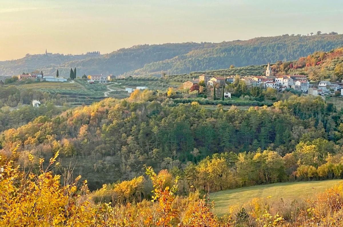Bolara 60: The Cottage Grožnjan Zewnętrze zdjęcie