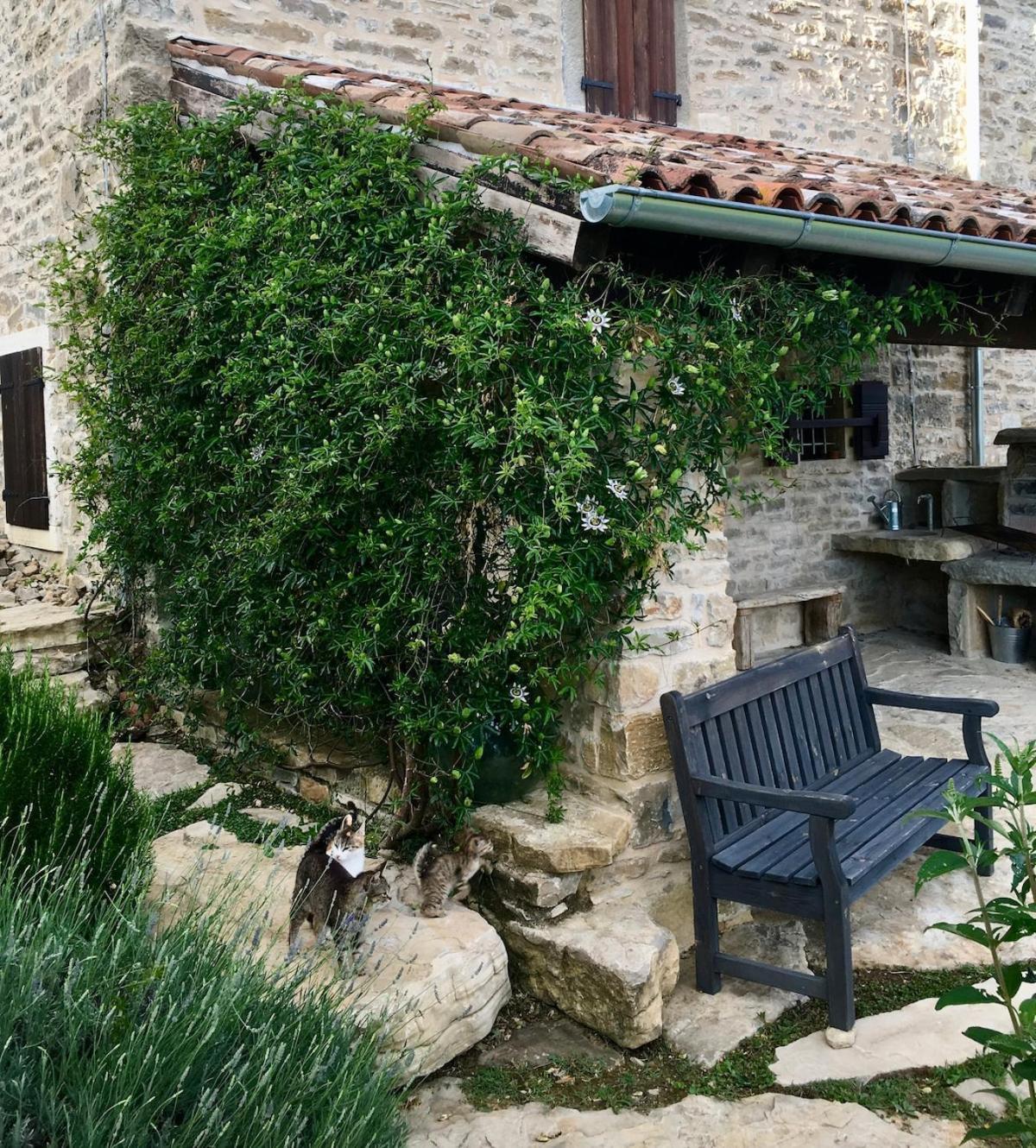 Bolara 60: The Cottage Grožnjan Zewnętrze zdjęcie